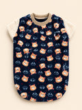 Urso Teddy